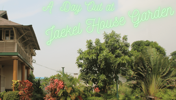 A Day at Jaekel House Garden copy